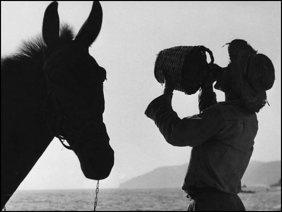 15. Untitled Kees Scherer