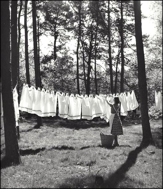 4.Kees Scherer Olanda 1958