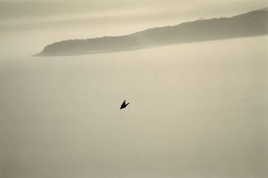11.articolo Masao Yamamoto best photo history 8