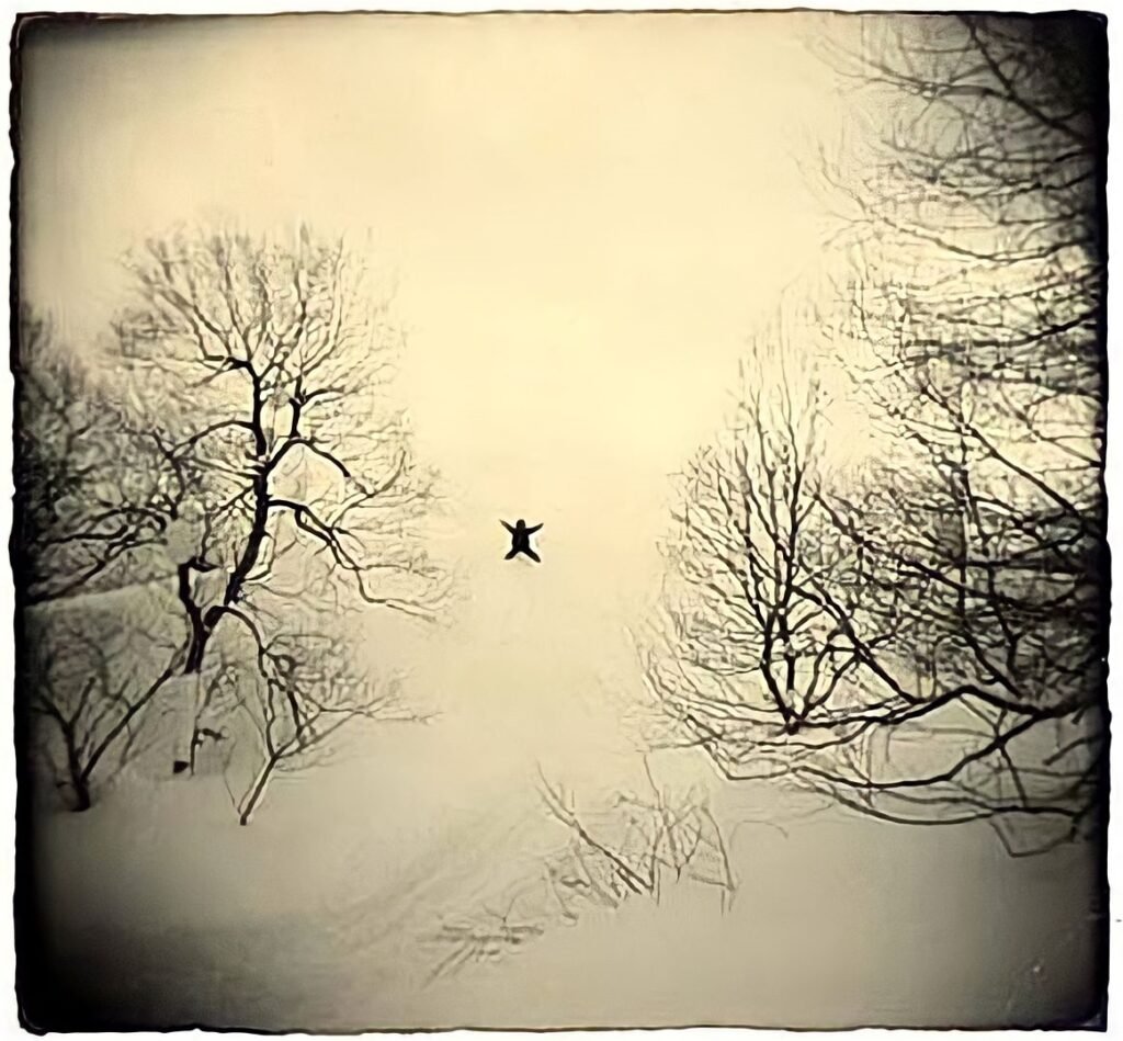 129. Masao Yamamoto - La Fotografia "bonsai" 14 13.articolo Masao Yamamoto best photo history 16