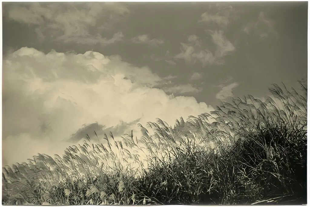 14.articolo Masao Yamamoto best photo history 6