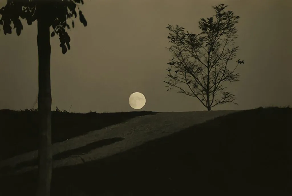 16.articolo Masao Yamamoto best photo history 10