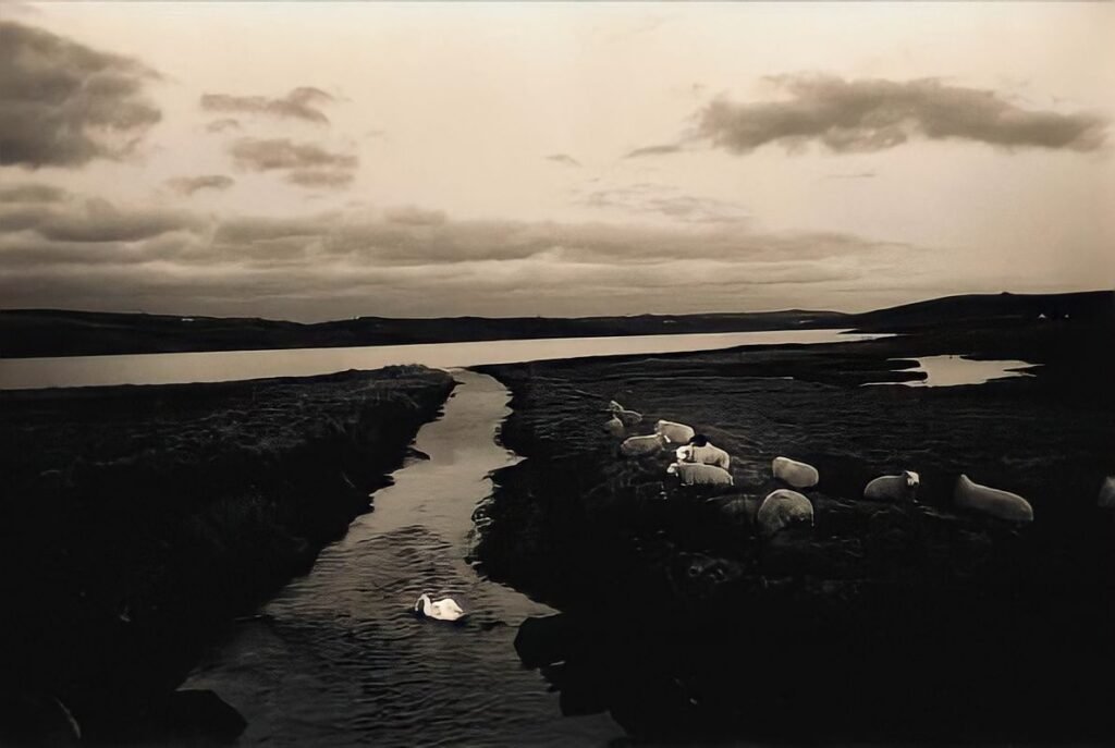 129. Masao Yamamoto - La Fotografia "bonsai" 17 17.articolo masao yamamoto best photo history