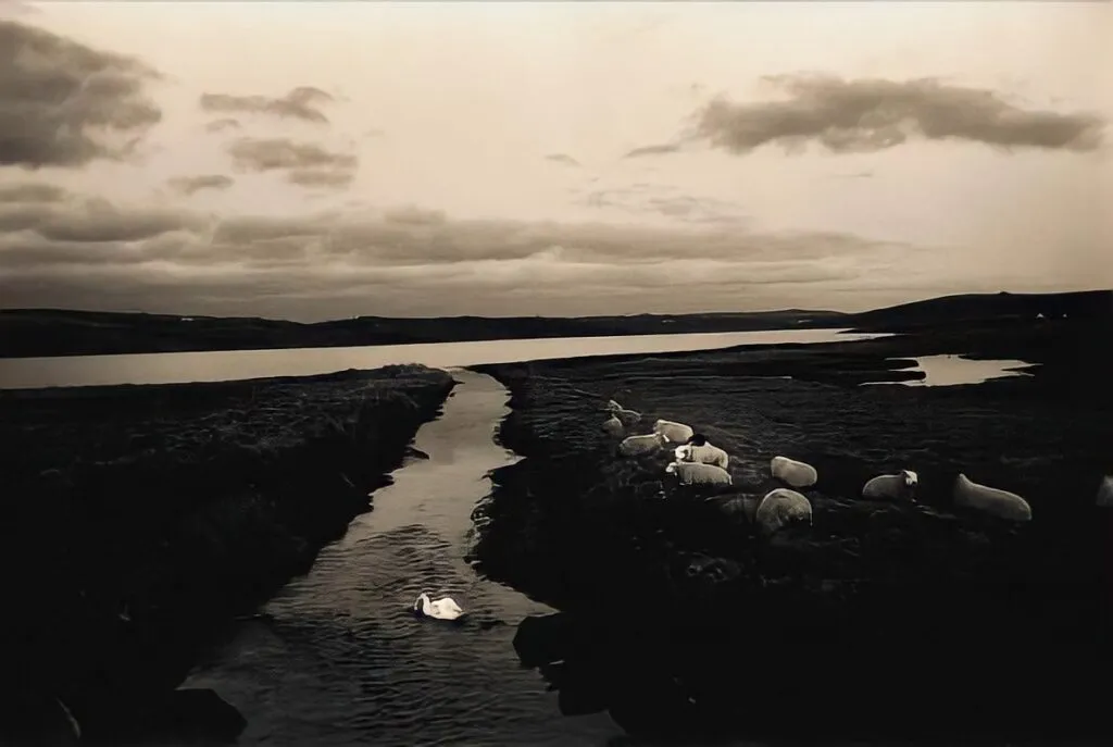 17.articolo masao yamamoto best photo history