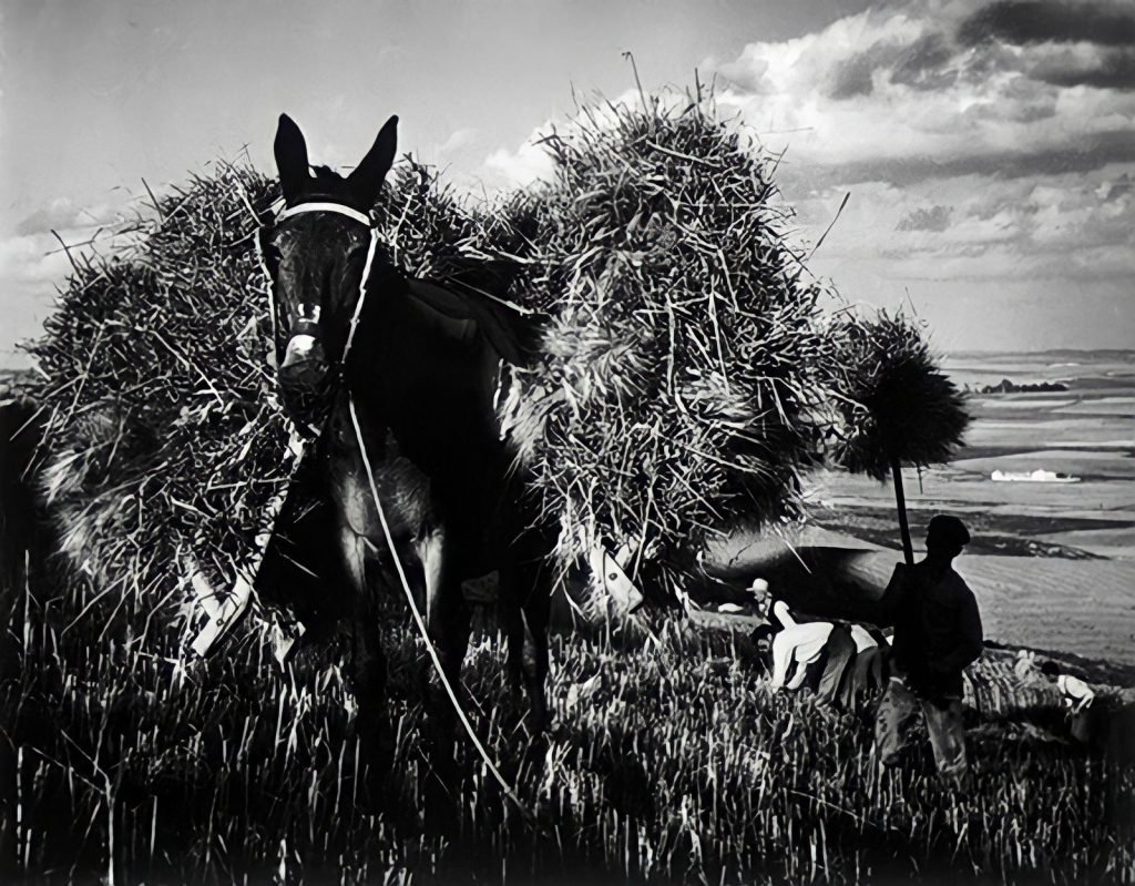 56a. "Spanish Village" - William Eugene Smith Reportage 24 19.articolo spanish village william eugene smith best photo history