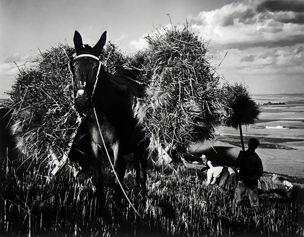 19.articolo spanish village william eugene smith best photo history