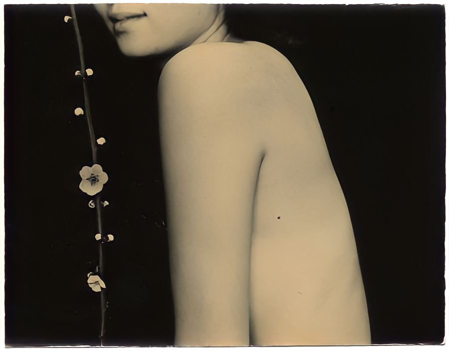 129. Masao Yamamoto - La Fotografia "bonsai" 22 20.articolo masao yamamoto best photo history 5