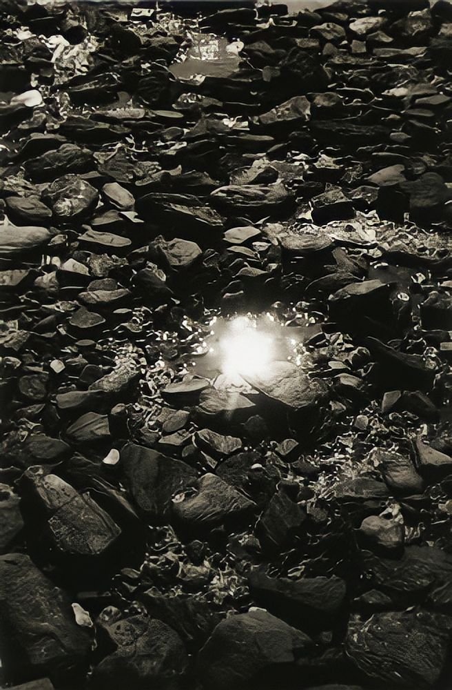 129. Masao Yamamoto - La Fotografia "bonsai" 18 21.articolo Masao Yamamoto best photo history 13