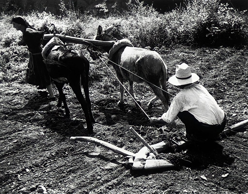 56a. "Spanish Village" - William Eugene Smith Reportage 26 22.articolo spanish village william eugene smith best photo history 1