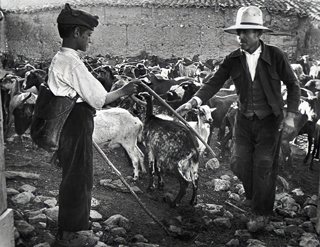 3.articolo Josefa Larra william eugene smith best photo history