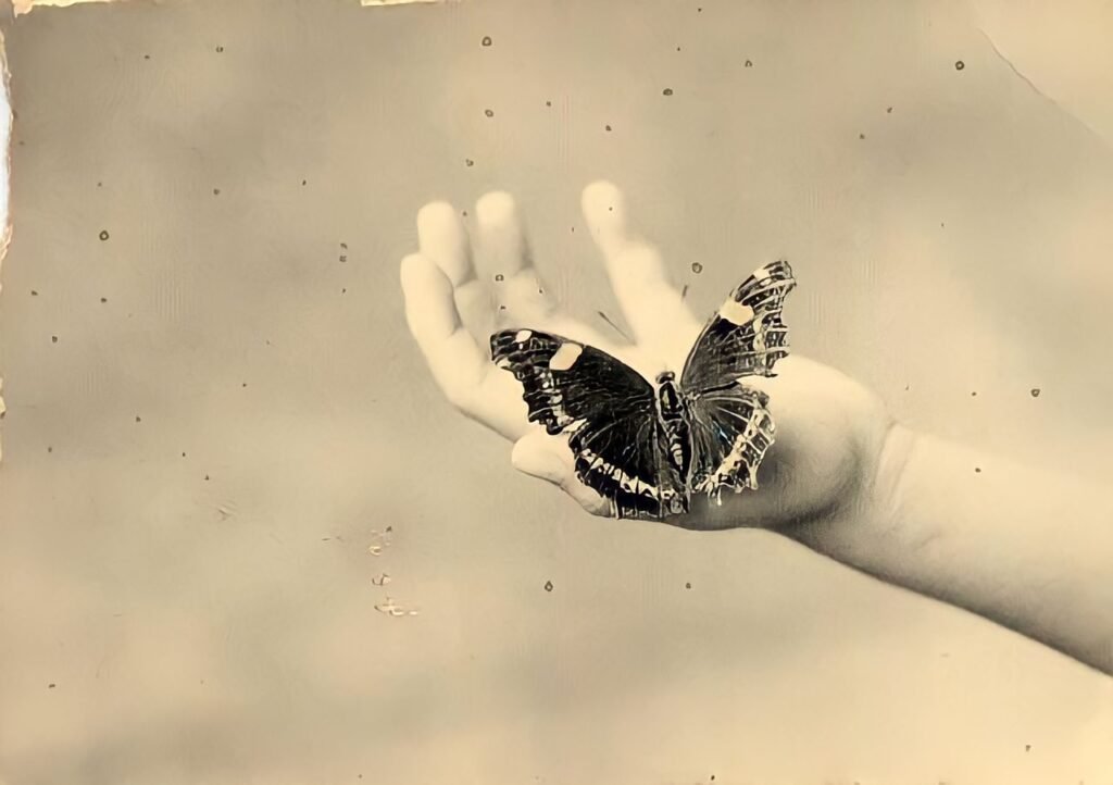 129. Masao Yamamoto - La Fotografia "bonsai" 4 3.articolo Masao Yamamoto best photo history 1