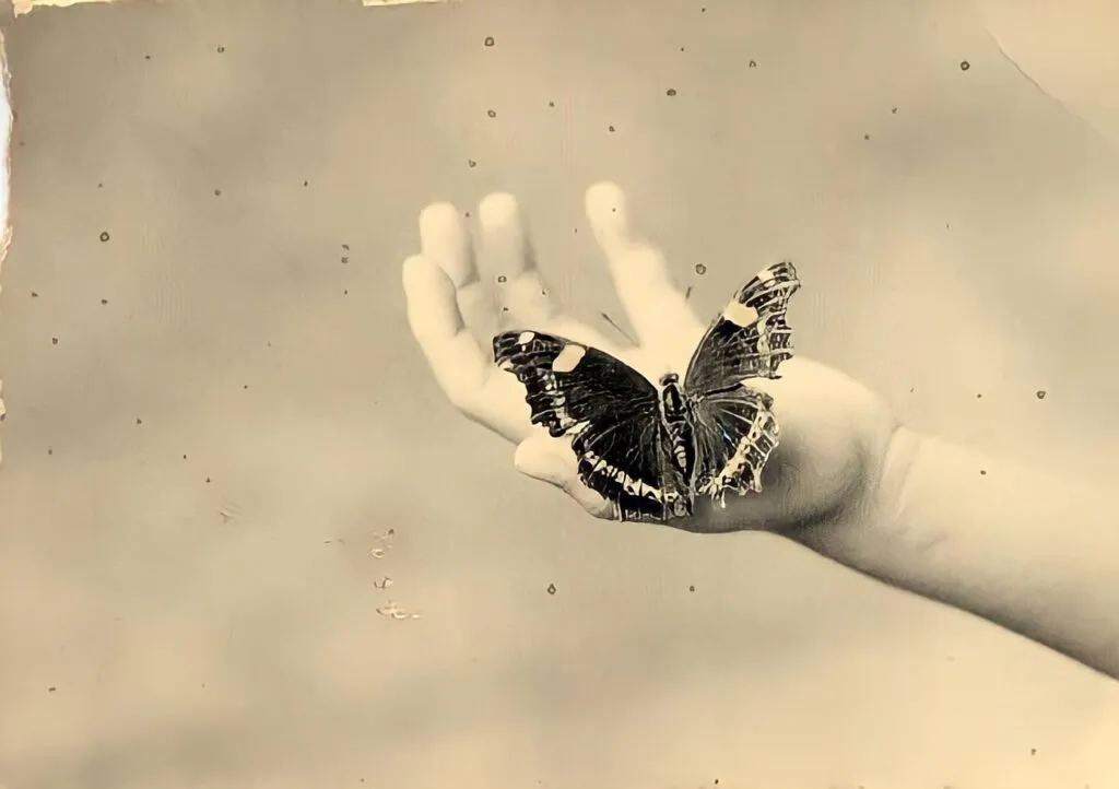3.articolo Masao Yamamoto best photo history 1