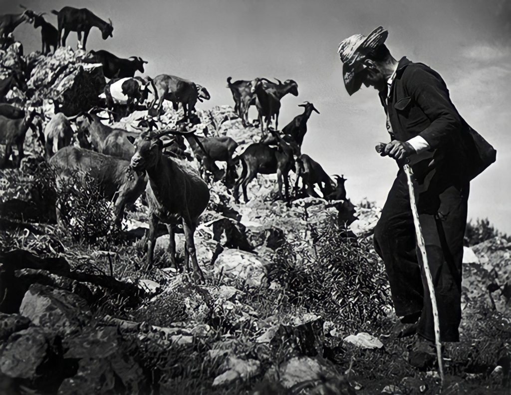 4.articolo Josefa Larra william eugene smith best photo history