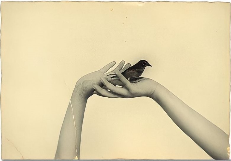 129. Masao Yamamoto - La Fotografia "bonsai" 8 4.articolo Masao Yamamoto best photo history 3