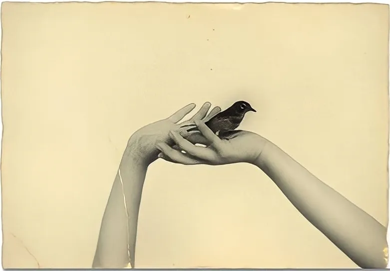 4.articolo Masao Yamamoto best photo history 3