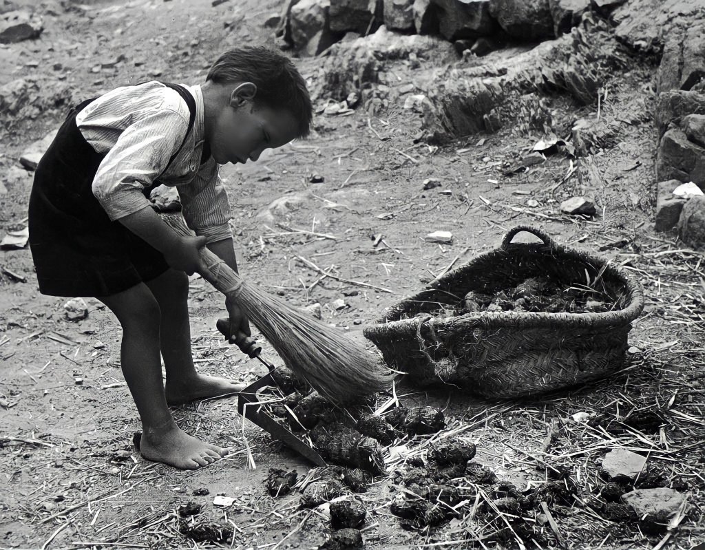 5.articolo Josefa Larra william eugene smith best photo history