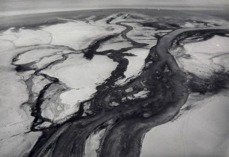 56b. “Minamata” – William Eugene Smith Reportage 5 5.sversamenti di mercurio nella Baia di Minamata. foto di W.E.Smith .articolo Best Photo History 2