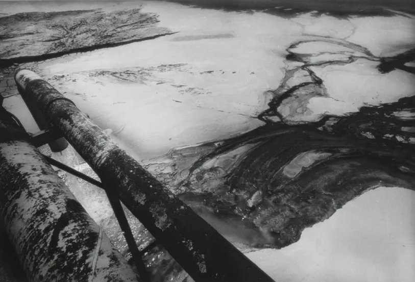6.sversamenti di mercurio nella Baia di Minamata. foto di W.E.Smith .articolo Best Photo History