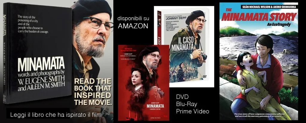 materiale su minamata disponibile su Amazon
