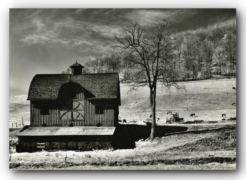 172. Minor White - La Teoria dell'Equivalenza 18 13.Pennsylvania 1955 by Minor White 1908 1976 Minor White Photo