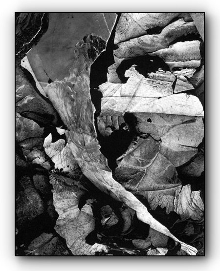 172. Minor White - La Teoria dell'Equivalenza 9 18.Moencopi Strata Capitol Reef National Park Utah 1962 Minor White Photo