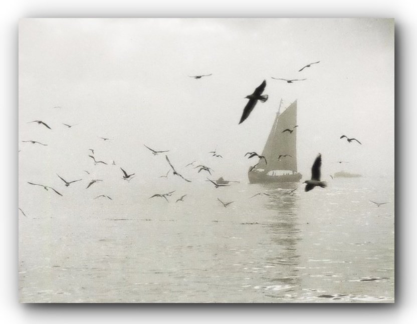 24.Eduardo Gageiro Photo