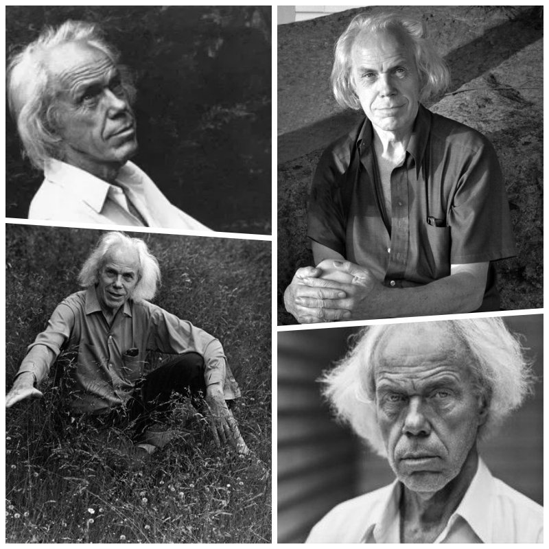 172. Minor White - La Teoria dell'Equivalenza 23 24.Fotografo Minor White foto da anziano