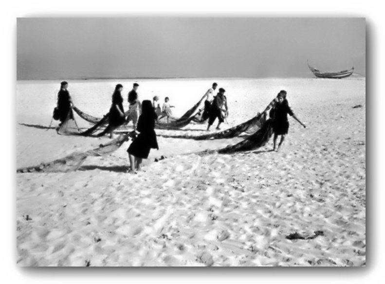 X.Eduardo Gageiro Photo 2