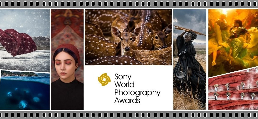 Sony World Photography Awards: Il Premio che Celebra la Fotografia Globale