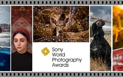Sony World Photography Awards: Il Premio che Celebra la Fotografia Globale