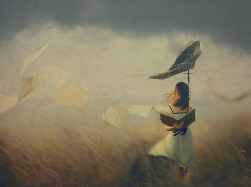 Sony World Photography Awards: Il Premio che Celebra la Fotografia Globale 11 2013.Hoang Hiep Nguyen 2013 jpg