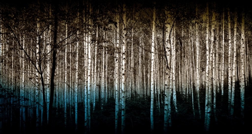 30 Fotografie Vincitrici dei National Awards SWPA 8 2015.Kim Lee In Ho Winner Korea National Awards 2015