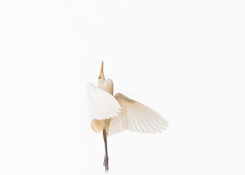 30 Fotografie Vincitrici dei National Awards SWPA 13 2017.Shashanka Chitrakar vincitore Nepal National Awards 2017