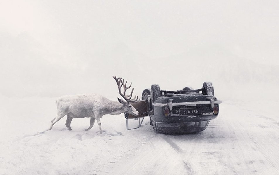 30 Fotografie Vincitrici dei National Awards SWPA 15 2018. Martin Stranka vincitore Czech Republic National Awards 2018