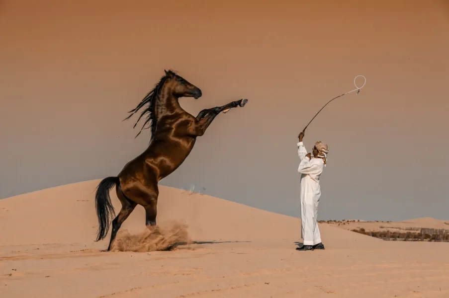 2020.Abbas Alkhamis – vincitore Saudi Arabia National Awards 2020