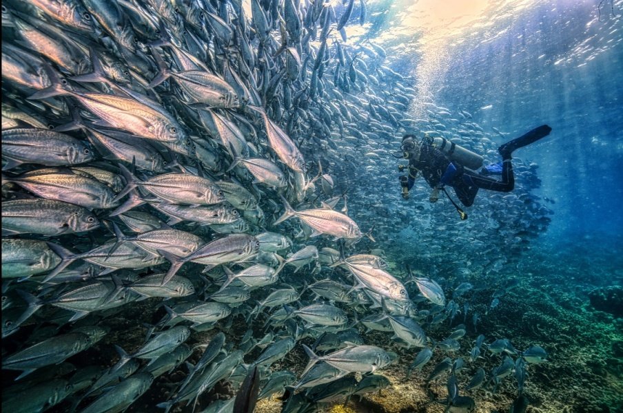 30 Fotografie Vincitrici dei National Awards SWPA 19 2020.Kam Moon Lai – vincitore 2° posto Hong Kong National Awards 2020