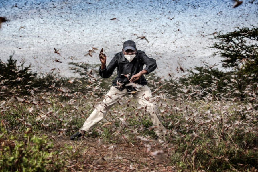 Sony World Photography Awards: Il Premio che Celebra la Fotografia Globale 23 2021. Luis Tato Spain Winner Professional Wildlife and Nature 2021