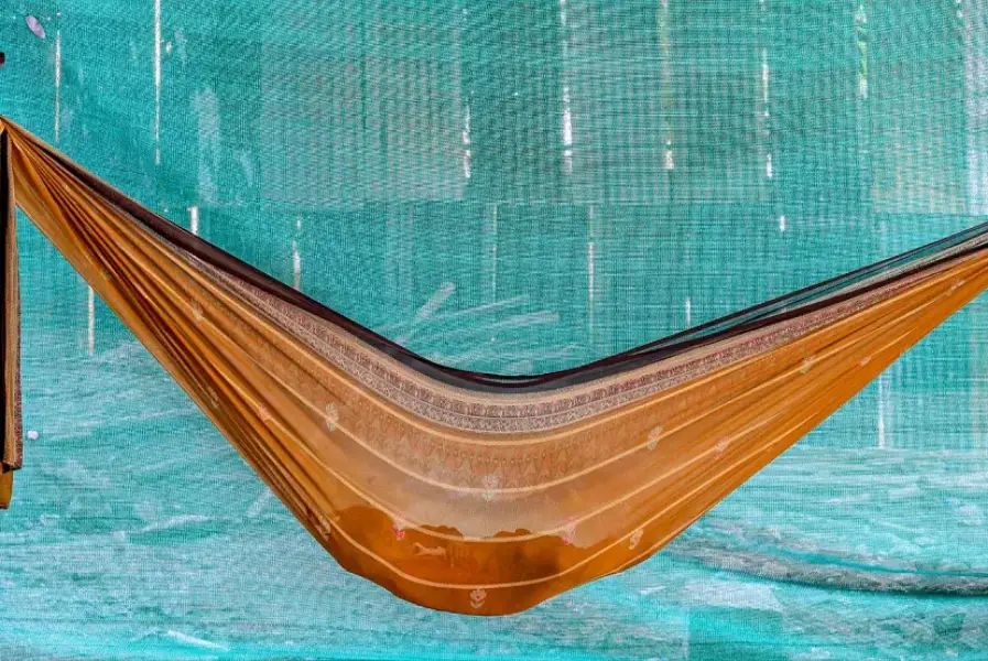 30 Fotografie Vincitrici dei National Awards SWPA 25 2024. Mitul Kajaria – vicnitore India National Awards 2024