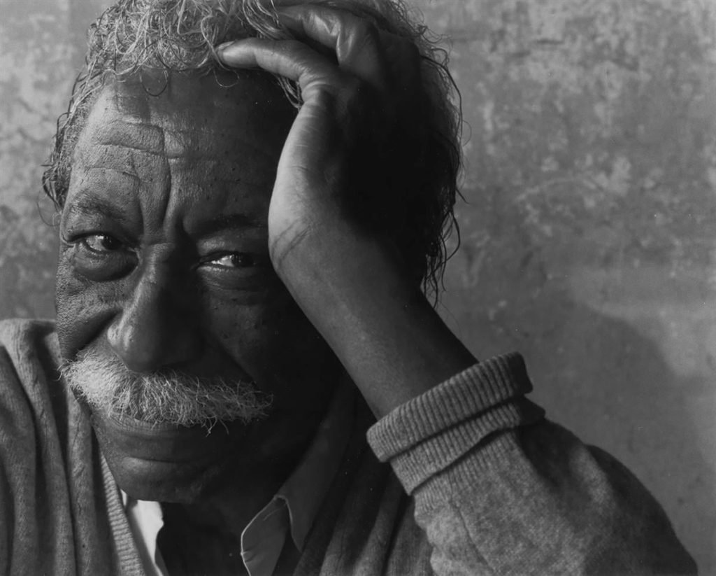 23b. Arnold Newman – Il volto dei Fotografi 24 24.Gordon Parks Arnold Newman photo