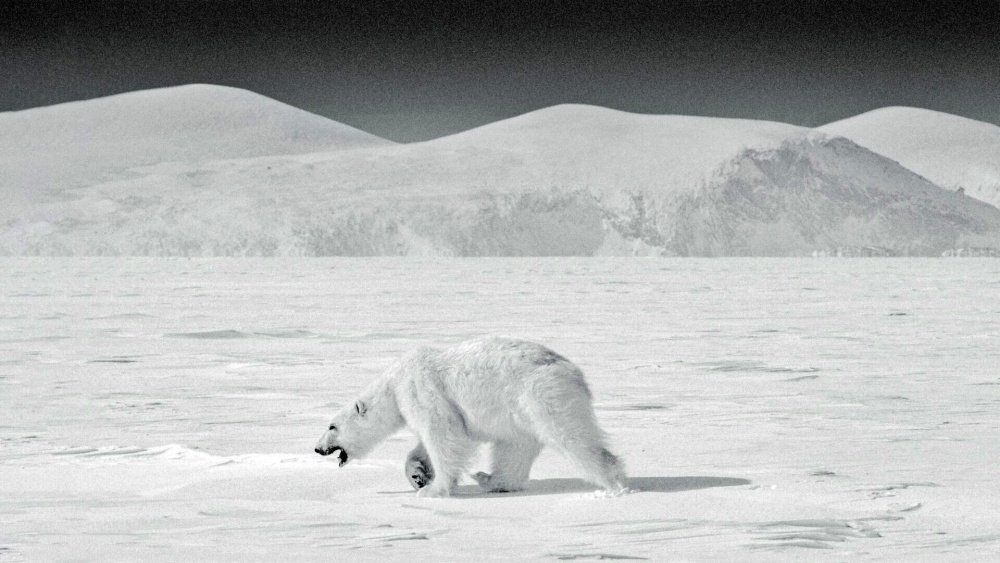 97. Ragnar Axelsson - Gli ultimi giorni dell’Artico 11 11.Ragnar Axelsson foto