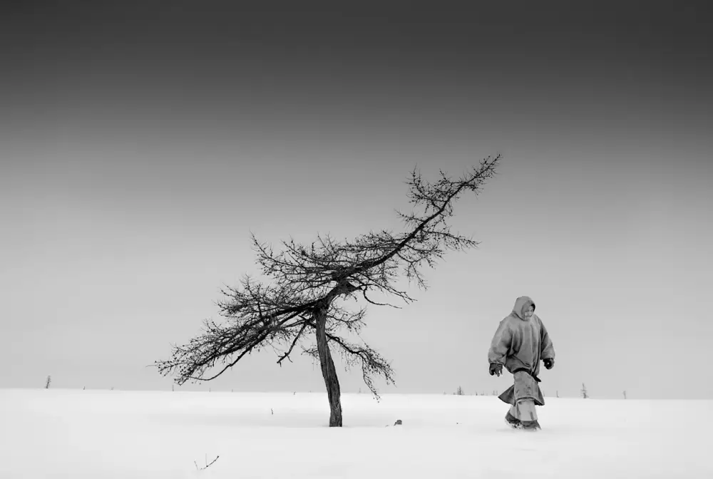 97. Ragnar Axelsson - Gli ultimi giorni dell’Artico 16 16.The Nenets Siberia 2016. Ragnar Axelsson foto