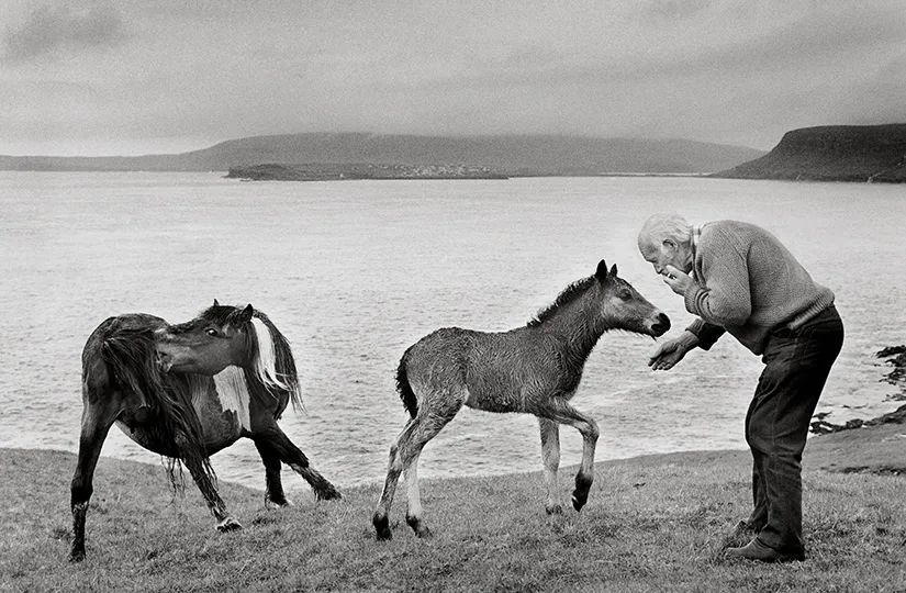 17.Sandoy Isole Faroe Regno di Danimarca 1989. Ragnar Axelsson foto