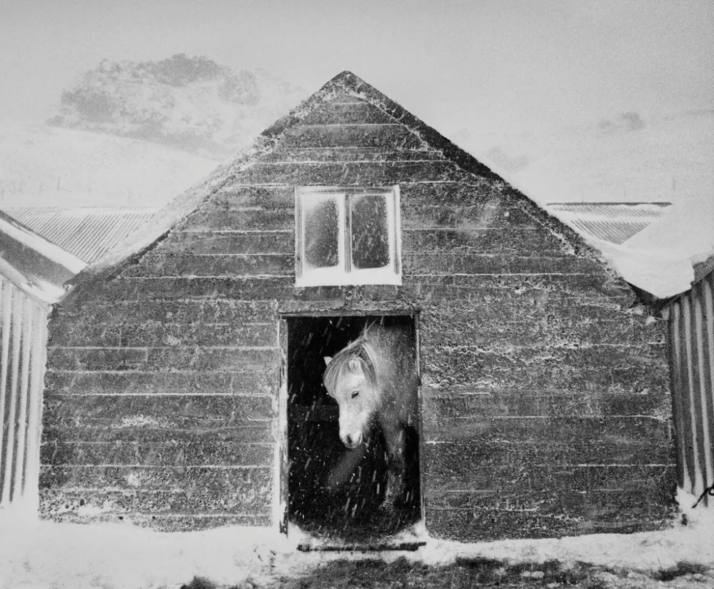18.Sotto le montagne di Eyjafjoll Islanda 1995. Ragnar Axelsson foto