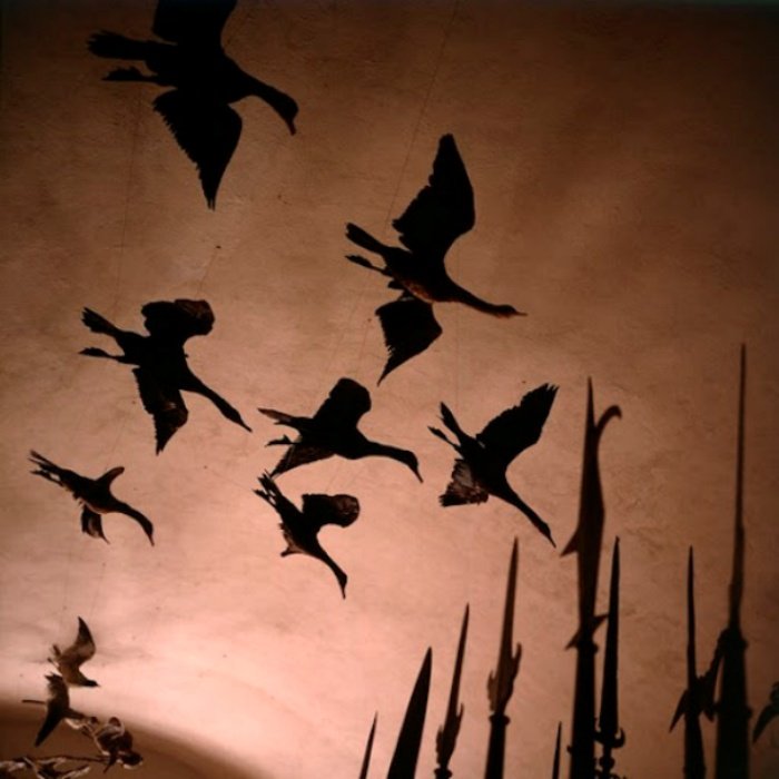 98. Rio Branco – La bellezza dell’immagine tra luce, colore e dolore 2 2. Miguel Rio Branco foto