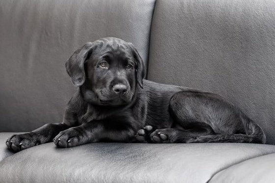 169. Grace Robertson - Reportage iconici sulla vita reale e la quotidianità 2 2.Titan . Grace Robertson foto