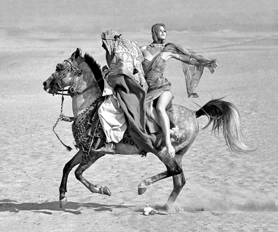 23.Connie Barr norman parkinson