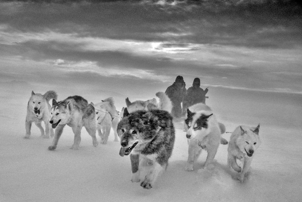 97. Ragnar Axelsson - Gli ultimi giorni dell’Artico 23 23.Ragnar Axelsson foto