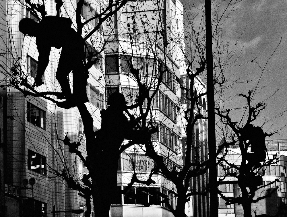 10 Maestri della " Street Photography" : Storie, Tecniche e Immagini Iconiche 50 10.Daido Moriyama Tokyo