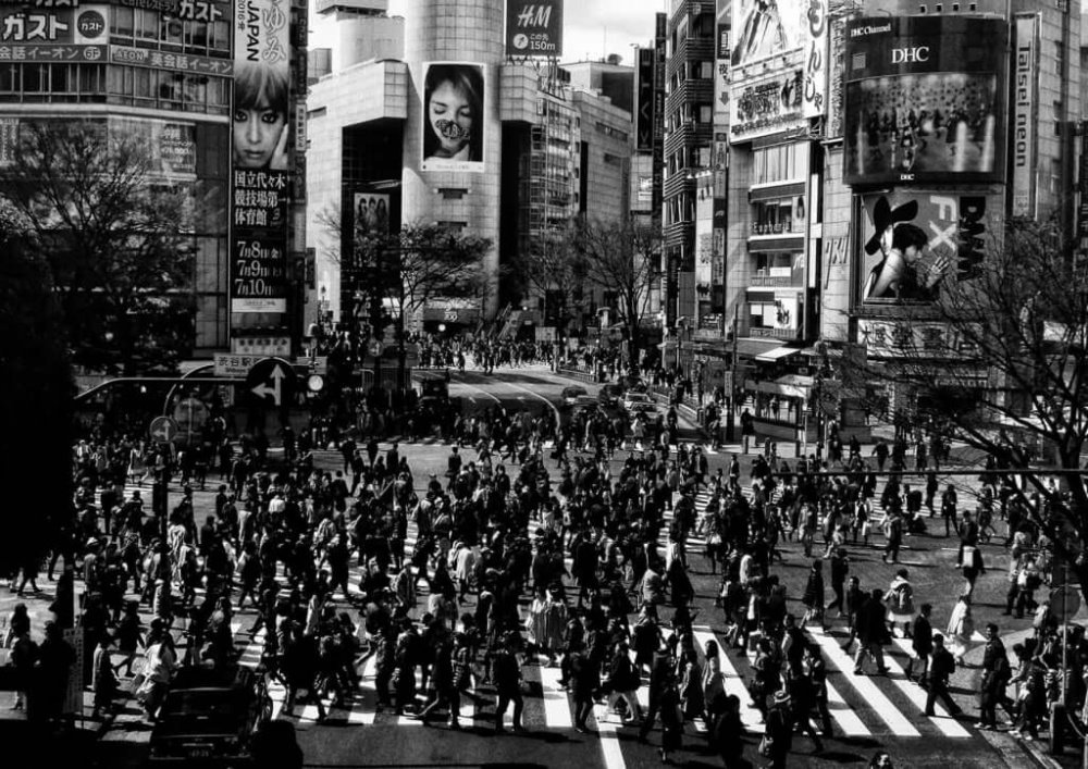 128.Daido Moriyama – Visioni oniriche della realtà 14 14.Street scene.Daido Moriyama foto