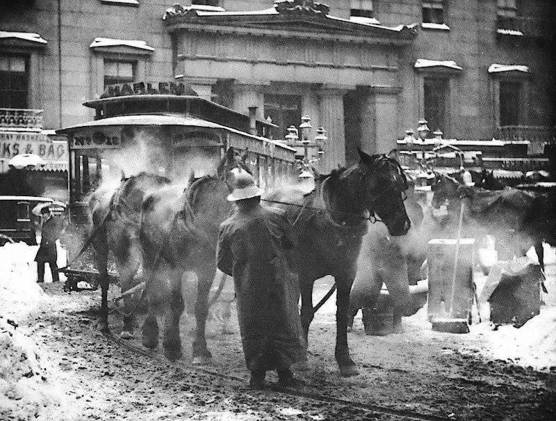 3.Alfred Stieglitz The Terminal New York 1892